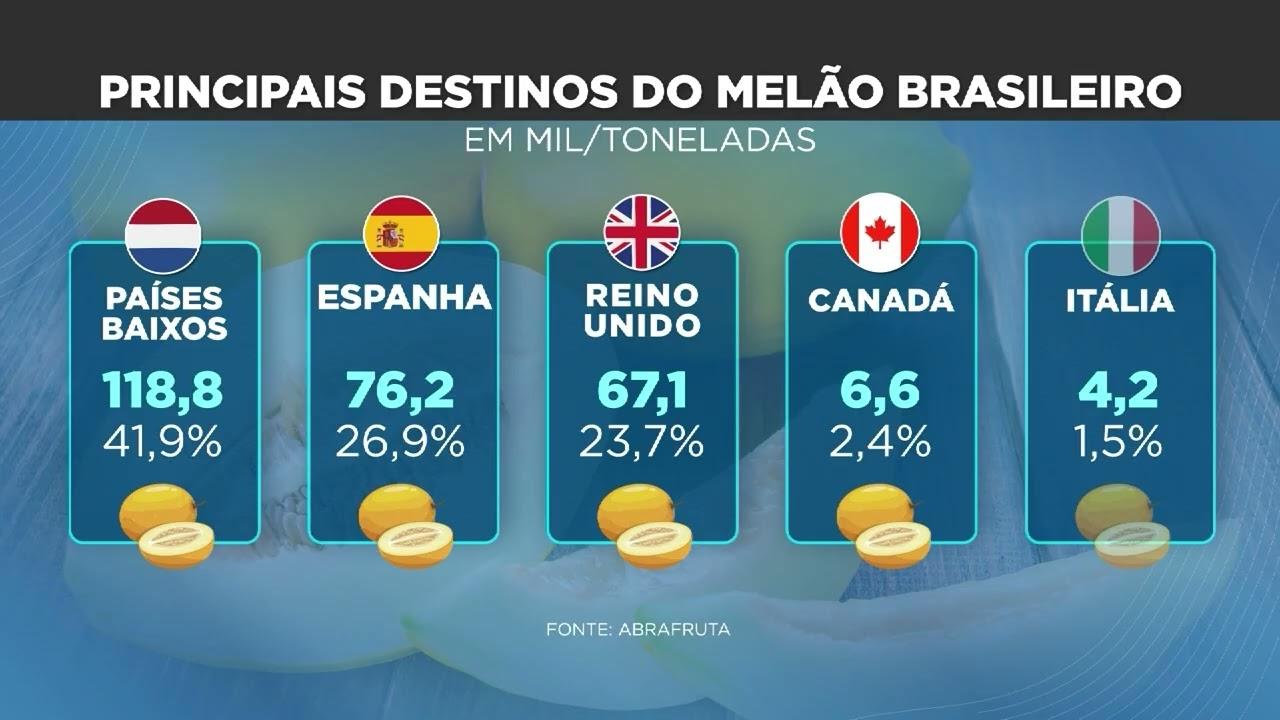 Exportação de melão brasileiro recua, mas produção mantém