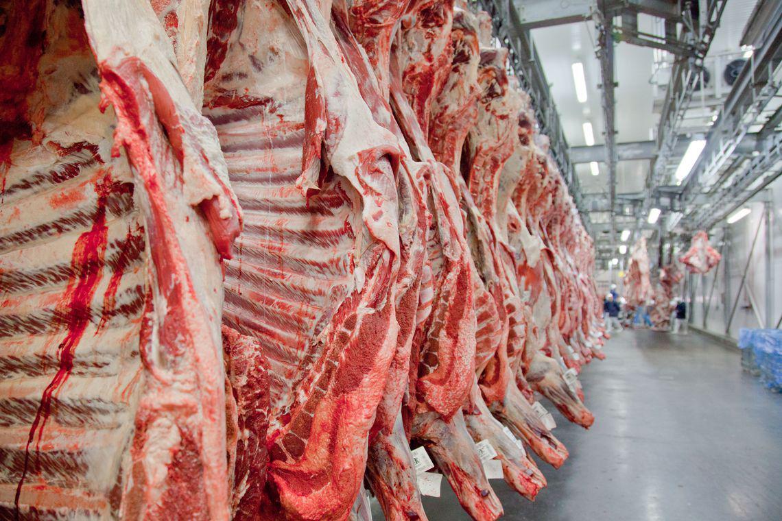Exportações de carne bovina caem 25,5% em agosto, mas EUA