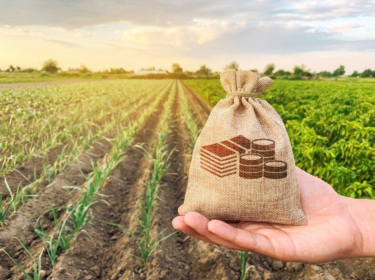 Investidores profissionais detêm 70% dos recursos do Fiagro