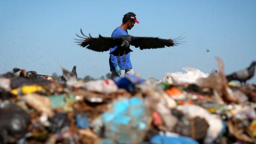 Desigualdade de Renda Cresce e Impacta População Brasileira