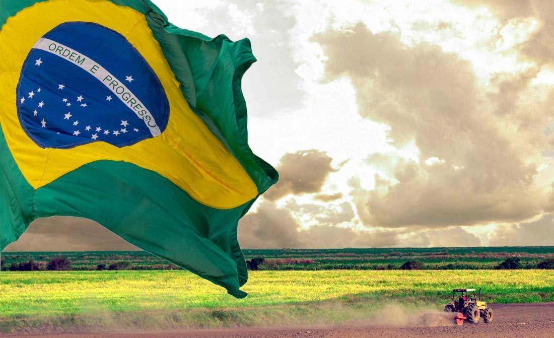 Transformação do agro brasileiro pode exigir investimento