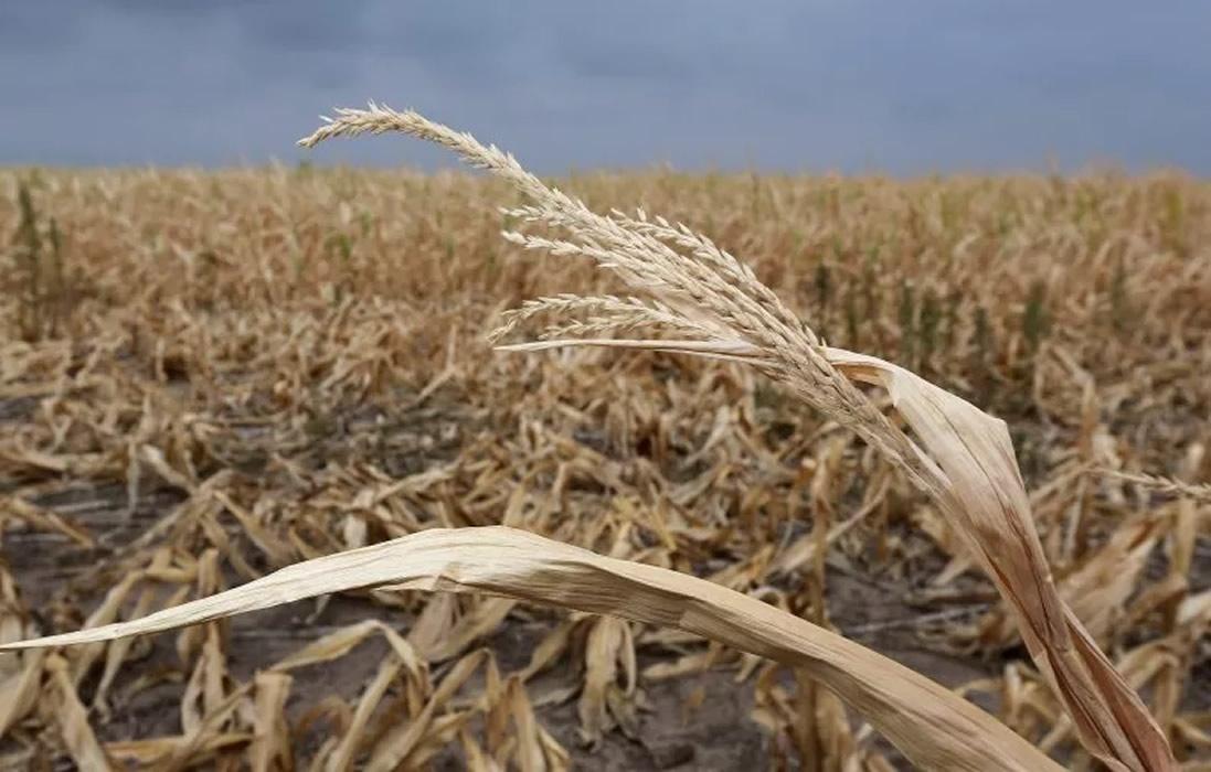 Brasil expande mercados para produtos agropecuários na