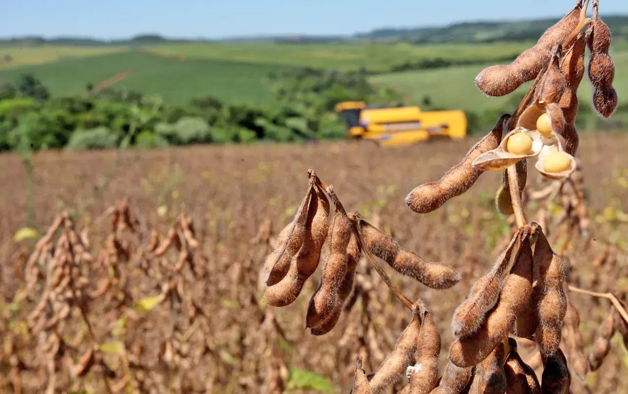 Paraná lidera crescimento em investimentos e impulsiona agricultura para R$ 1 bi
