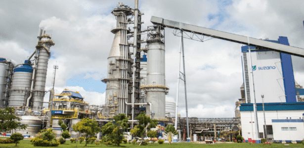 Suzano registra queda de 64% no lucro e fecha segundo trimestre com R$ 1,81 bilhão