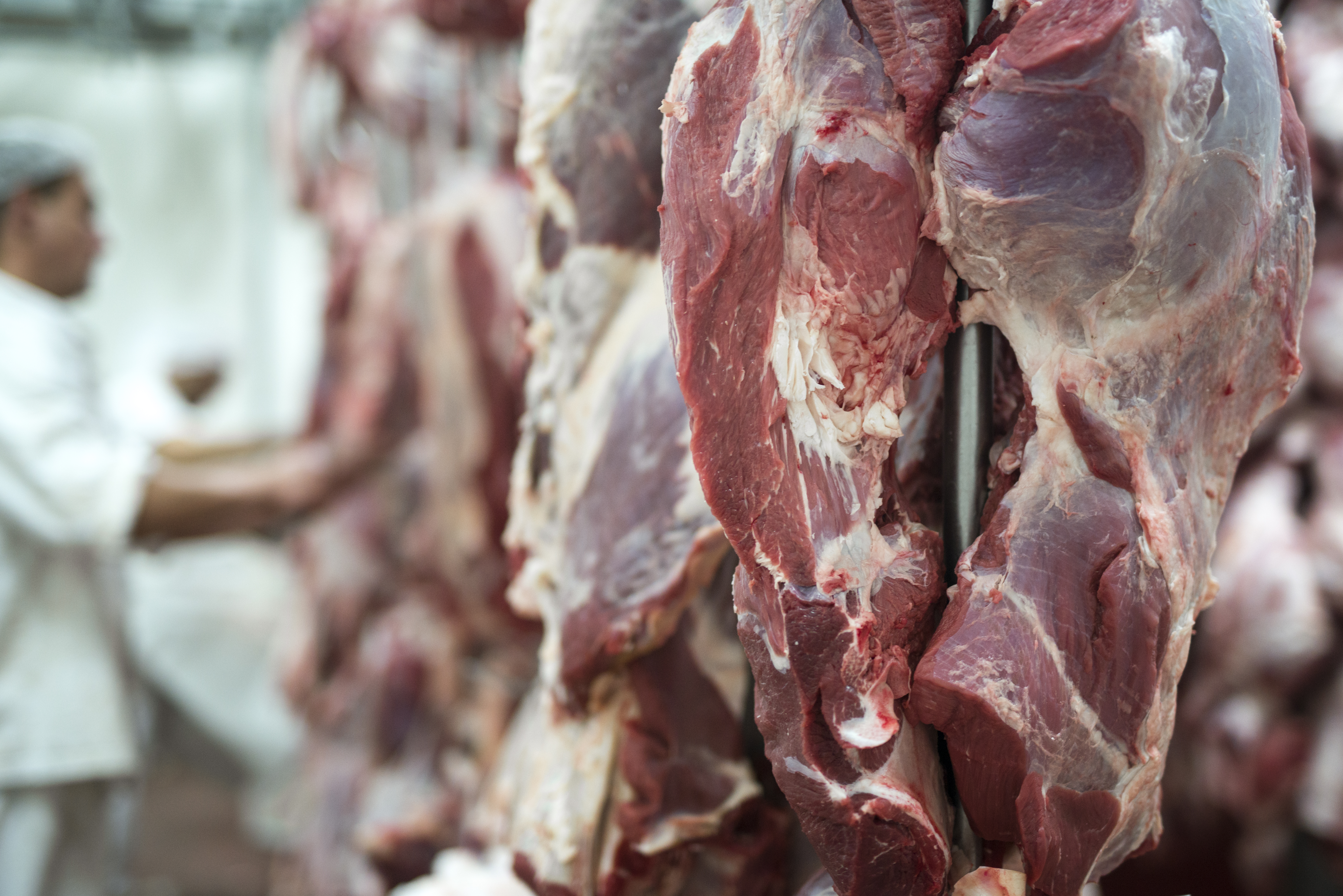 Exportação de carne bovina aos EUA cresce, mas Abiec prevê