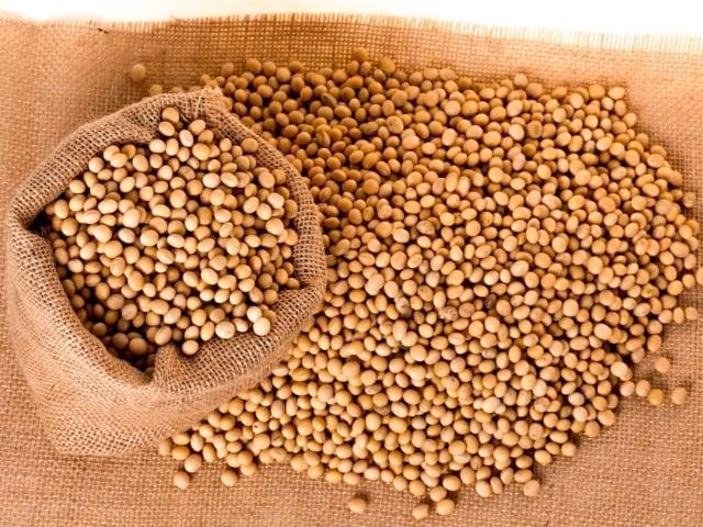 Mercado da soja avança com alta do dólar e prêmios