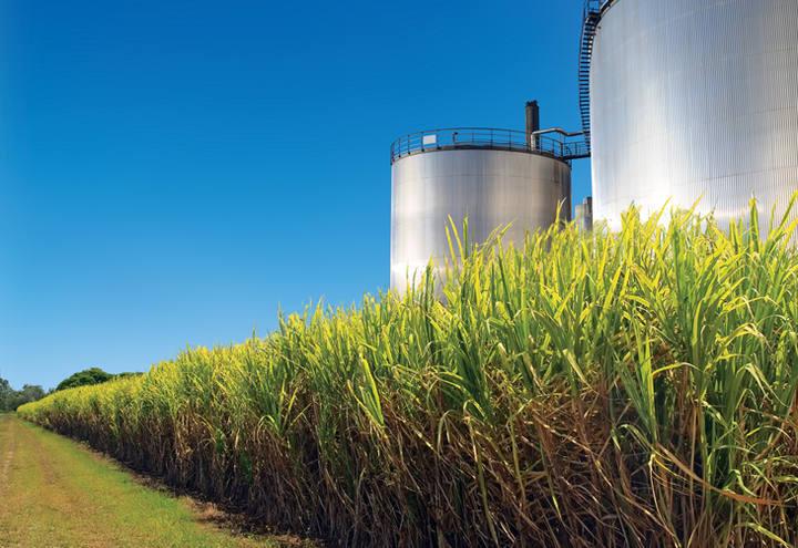Produtores de etanol têm prazo até 4 de outubro para