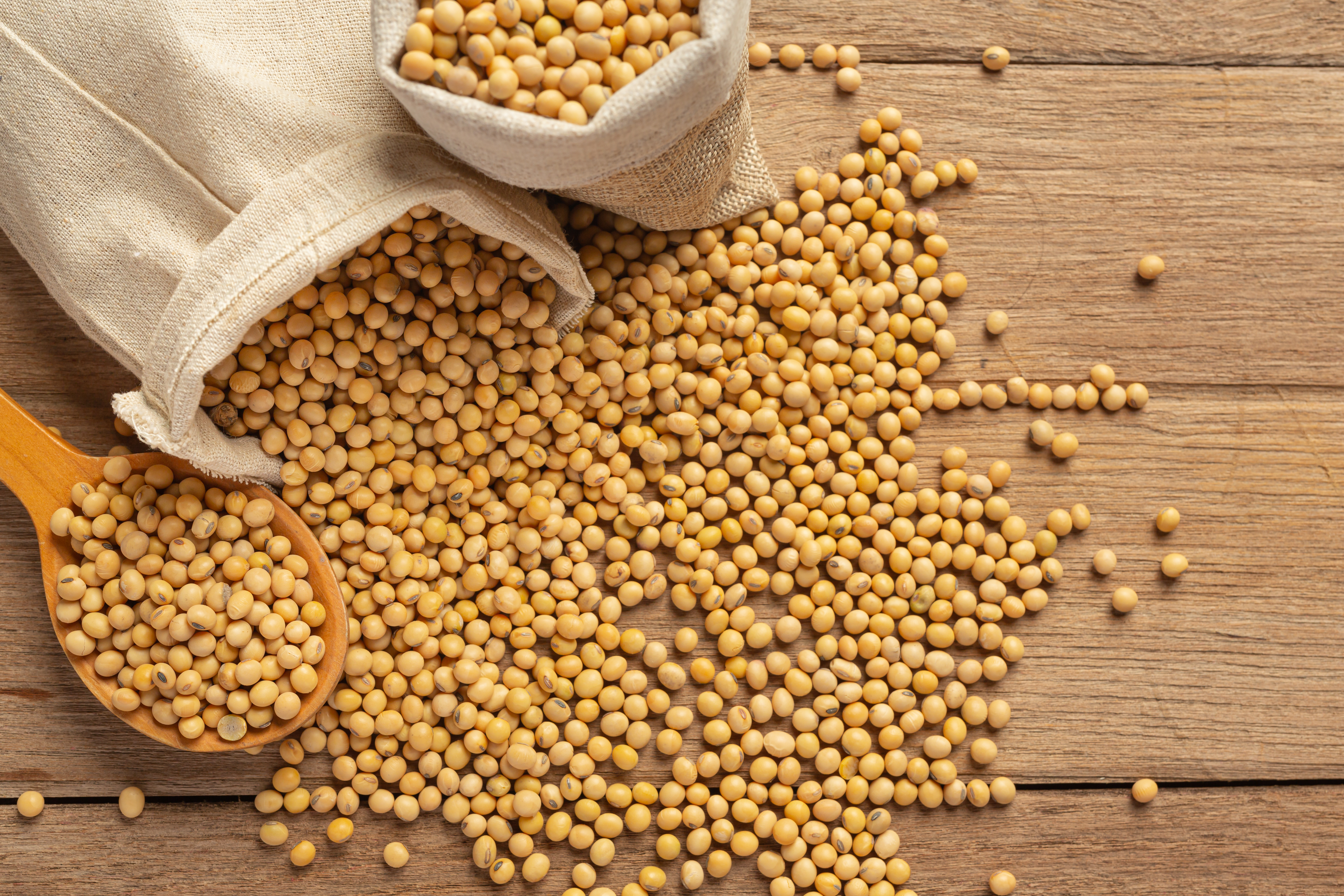 Cotações da soja no Brasil oscilam e produtores aguardam