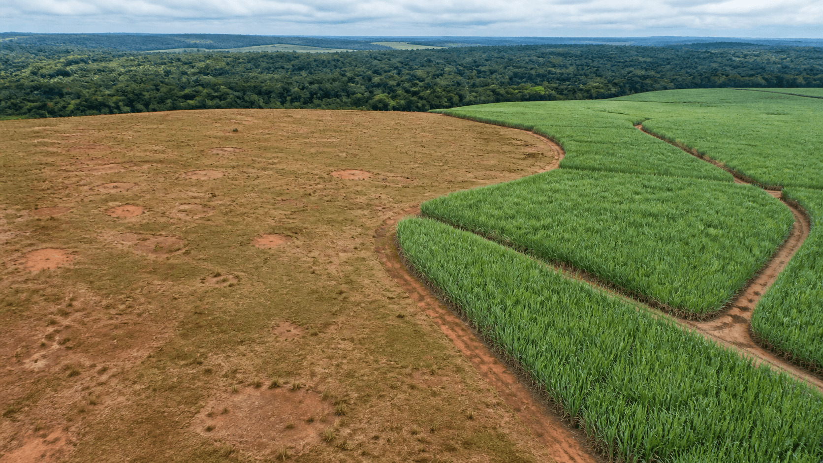 Agroterenas viabiliza R$ 160 milhões para recuperar