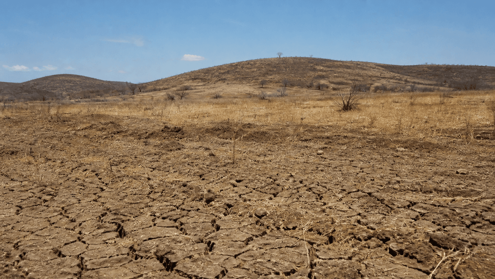 COP17 prioriza financiamento global para restauração de solos e combate à seca