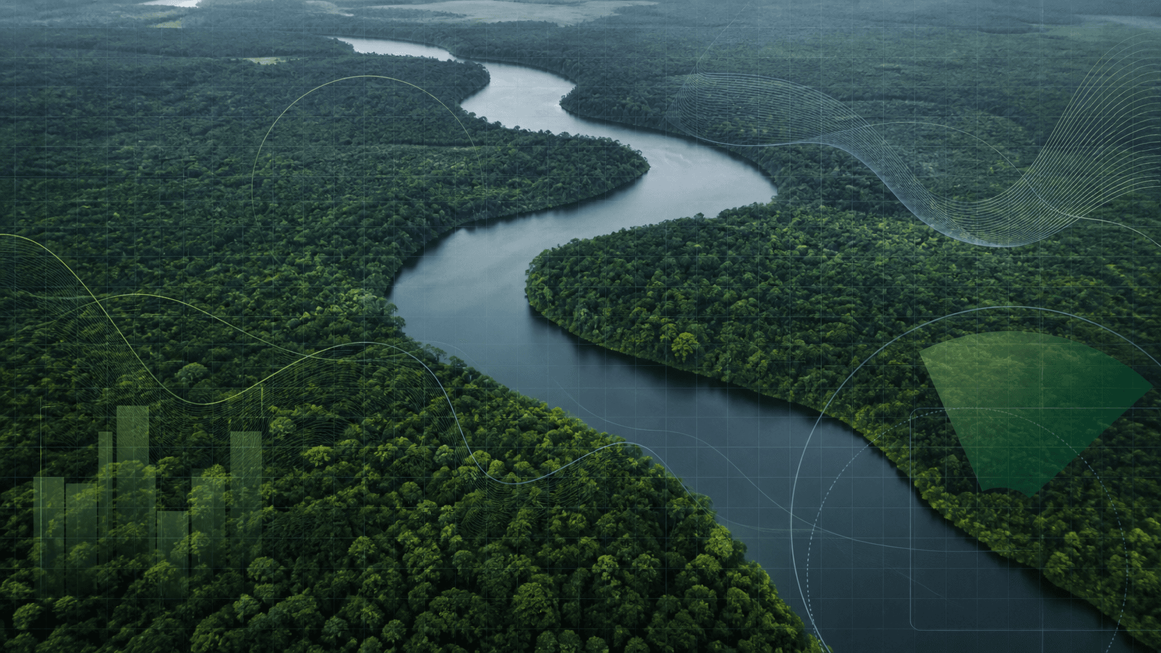 Reino Unido confirma 400 milhões de libras ao Fundo Florestas Tropicais em nova etapa de cooperação