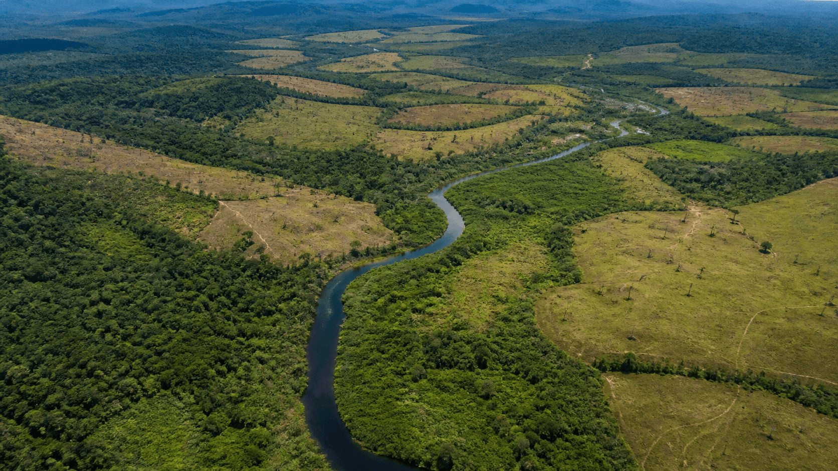 BNDES aprova R$ 180 milhões do Fundo Clima para restauração