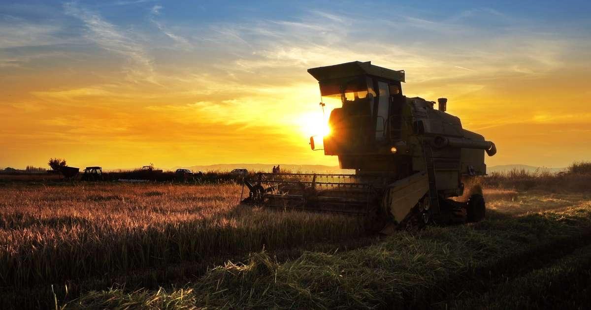 Agronegócio brasileiro pode perder liderança em créditos de carbono por falta de regras
