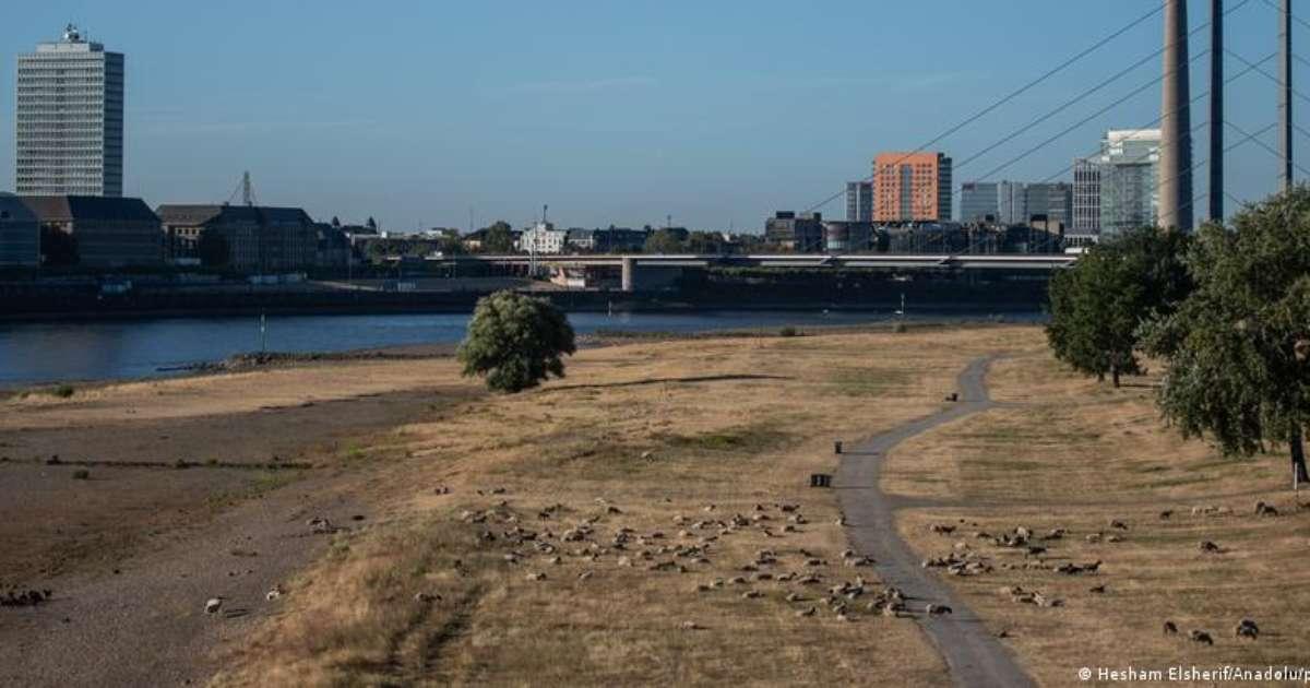 Seca no rio Reno agrava crise econômica e impacta cadeias globais de suprimentos