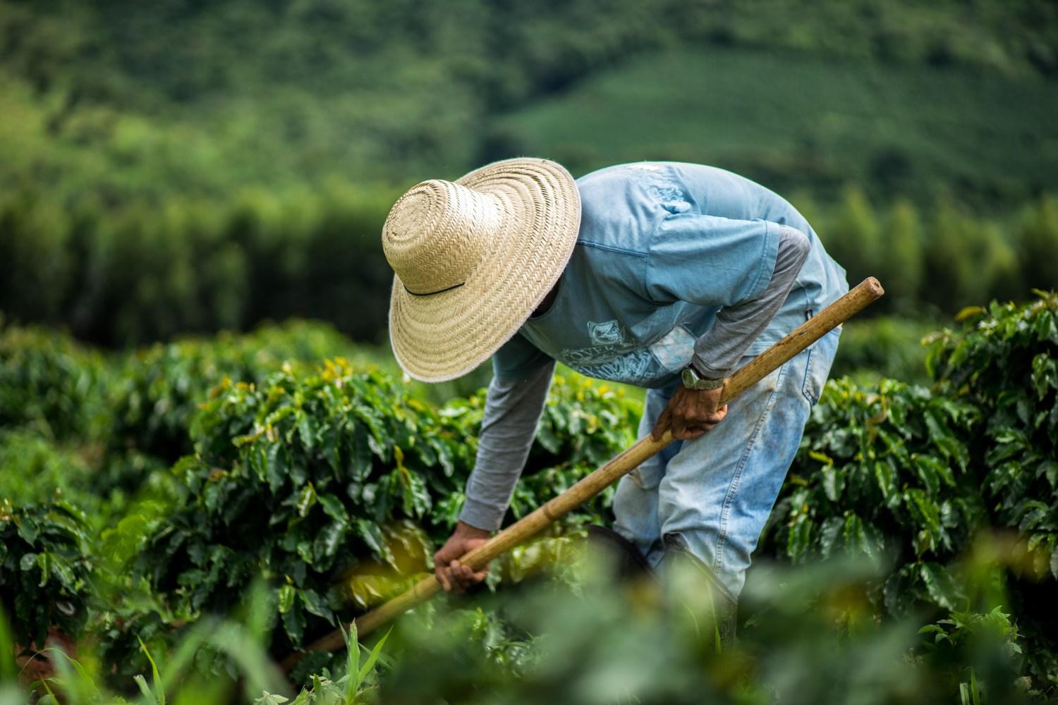 Emprego no agronegócio recua após recordes, acompanhando tendência nacional