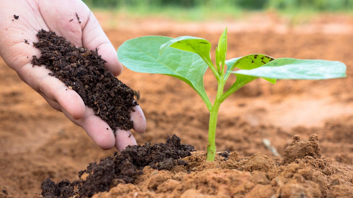 Mercado de bioinsumos projeta alta de até 10% no volume em